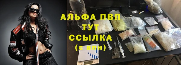 прущий лед Абаза