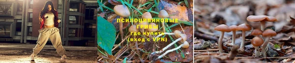 ECSTASY Абинск