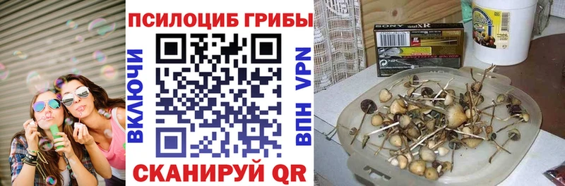Псилоцибиновые грибы Psilocybine cubensis  наркошоп  Красновишерск 