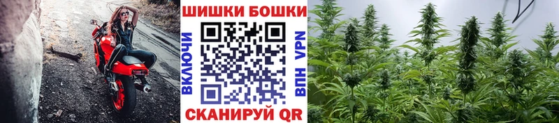 МАРИХУАНА конопля Красновишерск